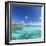 Dream Island of Olhuveli Beach and Spa Resort, South Male Atoll, Kaafu Atoll, Maldives (PR)-Ian Trower-Framed Photographic Print