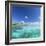 Dream Island of Olhuveli Beach and Spa Resort, South Male Atoll, Kaafu Atoll, Maldives (PR)-Ian Trower-Framed Photographic Print