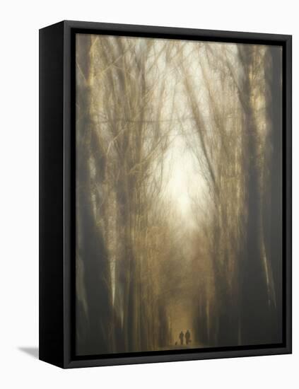 Dream Lane-Yvette Depaepe-Framed Premier Image Canvas