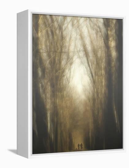 Dream Lane-Yvette Depaepe-Framed Premier Image Canvas