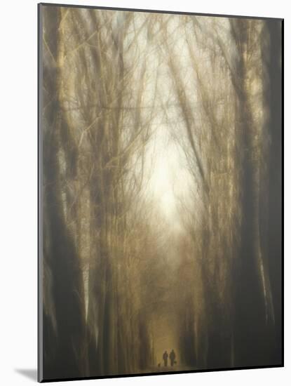 Dream Lane-Yvette Depaepe-Mounted Photographic Print