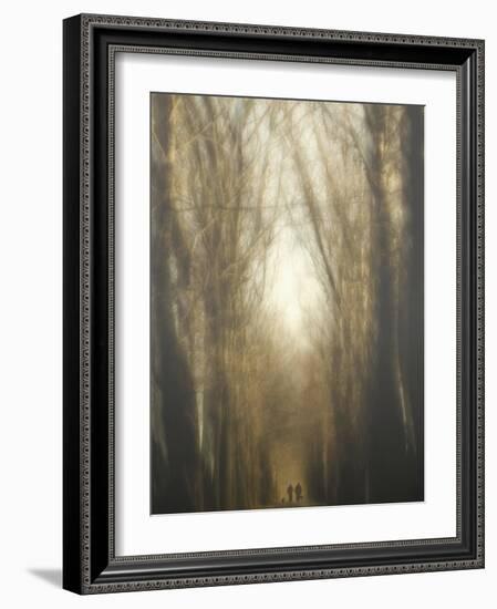 Dream Lane-Yvette Depaepe-Framed Photographic Print