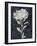 Dream Leaves-Kristine Hegre-Framed Giclee Print