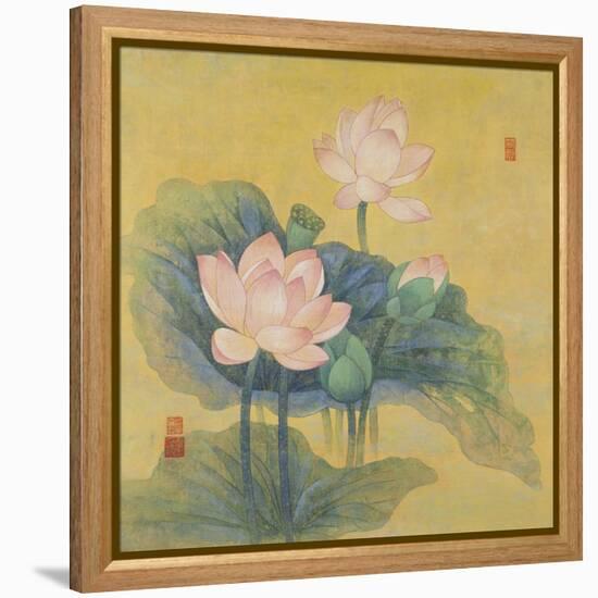 Dream Lotus-Ailian Price-Framed Stretched Canvas