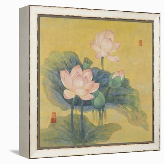 Dream Lotus-Ailian Price-Framed Stretched Canvas