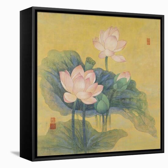 Dream Lotus-Ailian Price-Framed Stretched Canvas