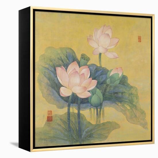 Dream Lotus-Ailian Price-Framed Stretched Canvas