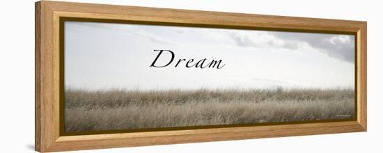 Dream Meadow-Nicole Katano-Framed Stretched Canvas