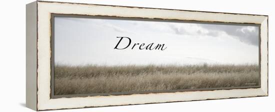 Dream Meadow-Nicole Katano-Framed Stretched Canvas