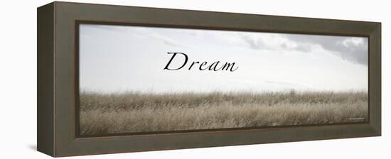 Dream Meadow-Nicole Katano-Framed Stretched Canvas