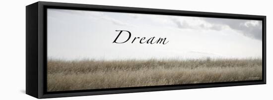 Dream Meadow-Nicole Katano-Framed Stretched Canvas