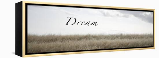 Dream Meadow-Nicole Katano-Framed Stretched Canvas