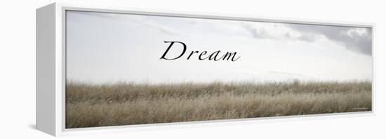 Dream Meadow-Nicole Katano-Framed Stretched Canvas