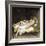 Dream of Ecuba-Giulio Romano-Framed Giclee Print