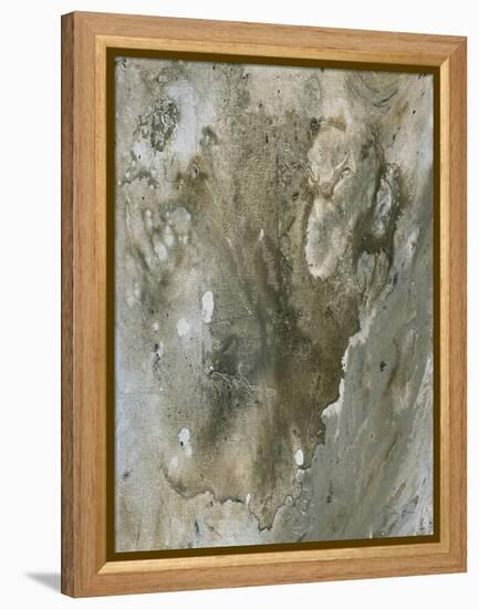 Dream Of Fate 2-Denise Brown-Framed Stretched Canvas