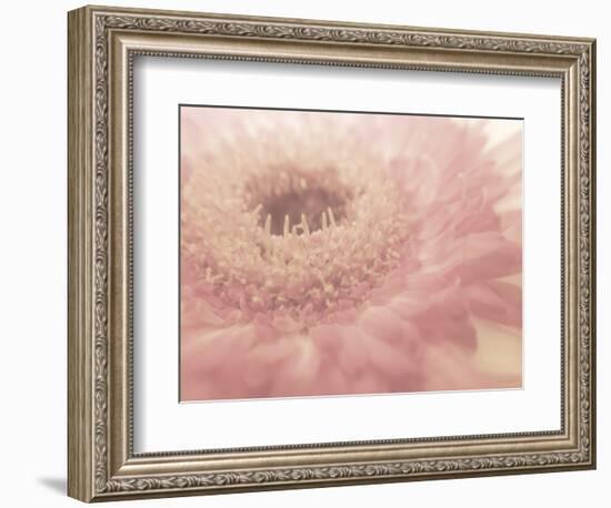 Dream of Floral 1-null-Framed Photographic Print