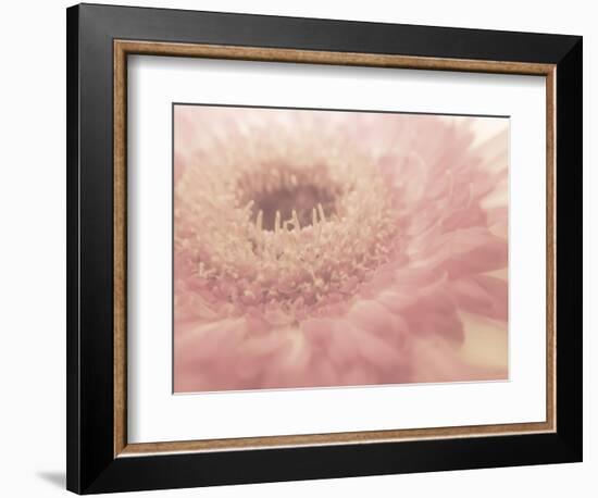 Dream of Floral 1-null-Framed Photographic Print