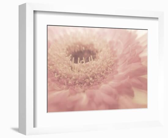 Dream of Floral 1-null-Framed Photographic Print