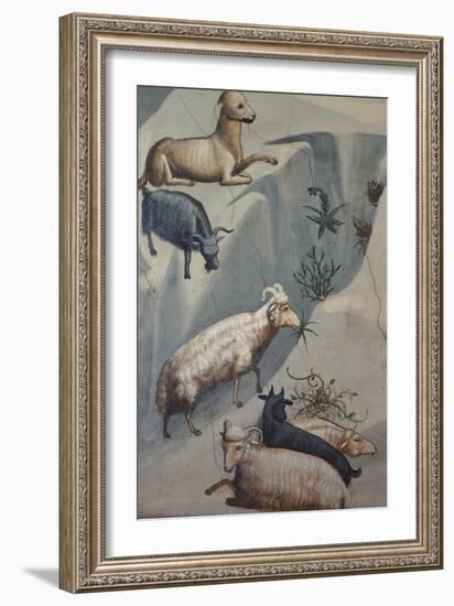 Dream of Joachim, Sheep-Giotto di Bondone-Framed Art Print