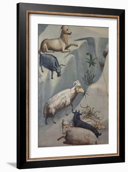 Dream of Joachim, Sheep-Giotto di Bondone-Framed Art Print