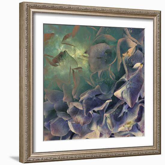 Dream of Petal-Viviane Fedieu Daniel-Framed Photographic Print