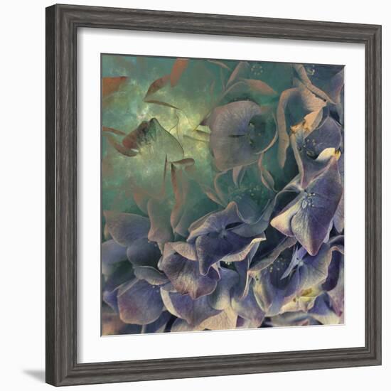 Dream of Petal-Viviane Fedieu Daniel-Framed Photographic Print