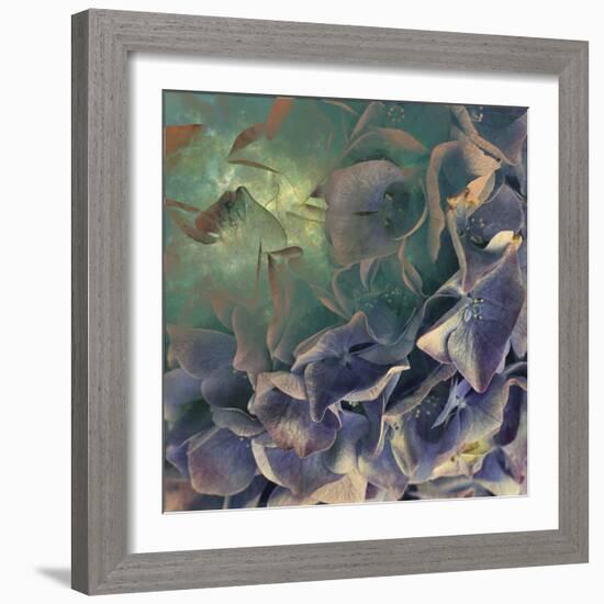 Dream of Petal-Viviane Fedieu Daniel-Framed Photographic Print