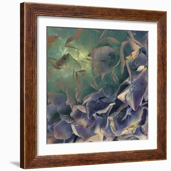 Dream of Petal-Viviane Fedieu Daniel-Framed Photographic Print