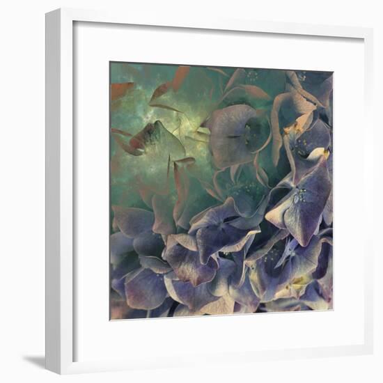 Dream of Petal-Viviane Fedieu Daniel-Framed Photographic Print