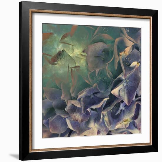 Dream of Petal-Viviane Fedieu Daniel-Framed Photographic Print