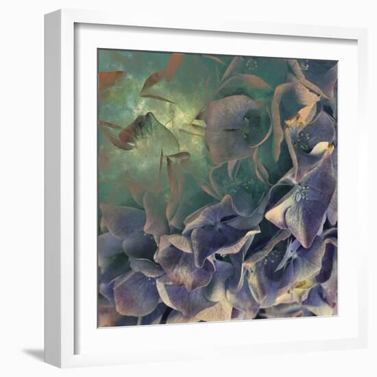 Dream of Petal-Viviane Fedieu Daniel-Framed Photographic Print