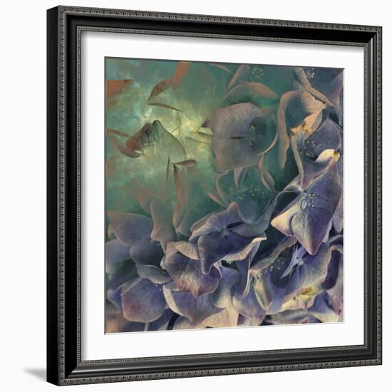 Dream of Petal-Viviane Fedieu Daniel-Framed Photographic Print