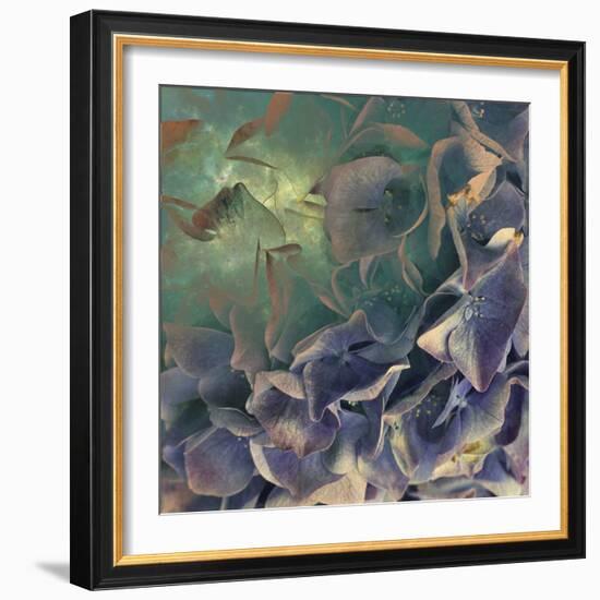 Dream of Petal-Viviane Fedieu Daniel-Framed Photographic Print