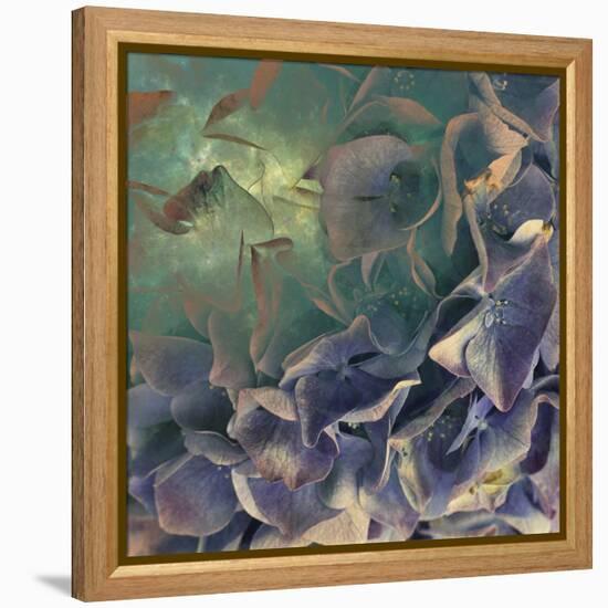 Dream of Petal-Viviane Fedieu Daniel-Framed Premier Image Canvas