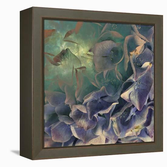 Dream of Petal-Viviane Fedieu Daniel-Framed Premier Image Canvas