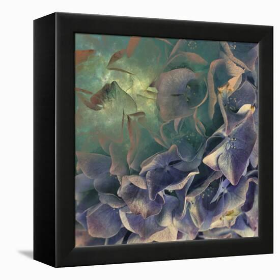 Dream of Petal-Viviane Fedieu Daniel-Framed Premier Image Canvas