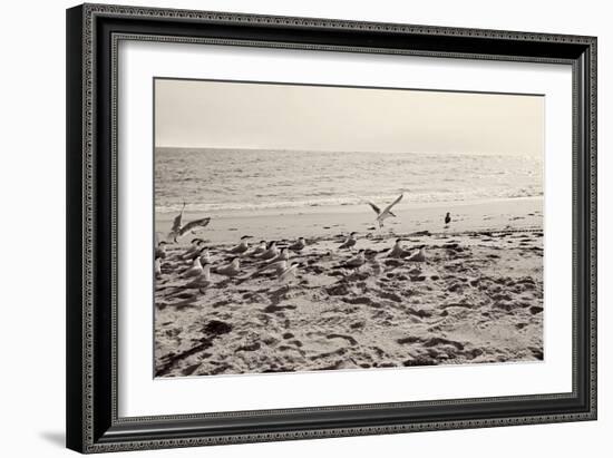 Dream of the Beach II-Susan Bryant-Framed Art Print