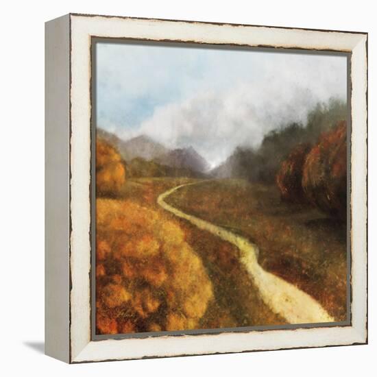 Dream Path 1-Ken Roko-Framed Stretched Canvas