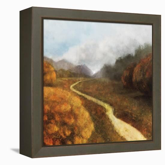 Dream Path 1-Ken Roko-Framed Stretched Canvas