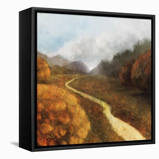 Dream Path 1-Ken Roko-Framed Stretched Canvas