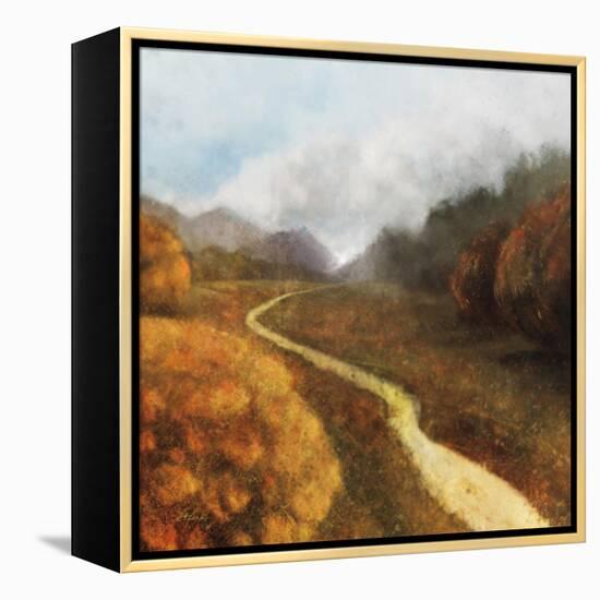 Dream Path 1-Ken Roko-Framed Stretched Canvas