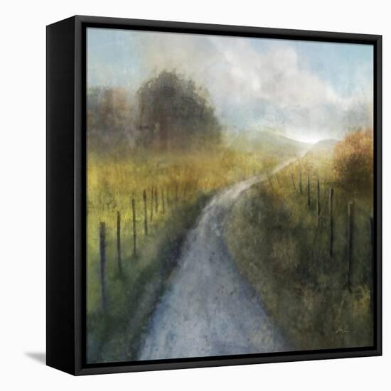 Dream Path 2-Ken Roko-Framed Stretched Canvas