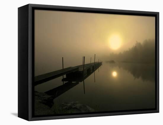 Dream Pool-Andreas Stridsberg-Framed Premier Image Canvas