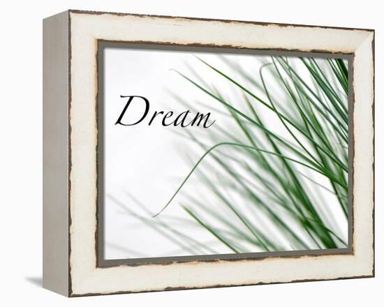 Dream: Reeds-Nicole Katano-Framed Stretched Canvas