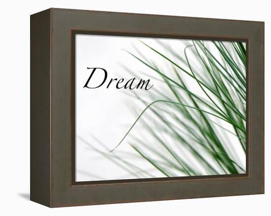 Dream: Reeds-Nicole Katano-Framed Stretched Canvas