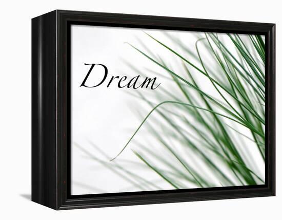 Dream: Reeds-Nicole Katano-Framed Stretched Canvas