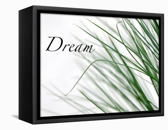 Dream: Reeds-Nicole Katano-Framed Stretched Canvas