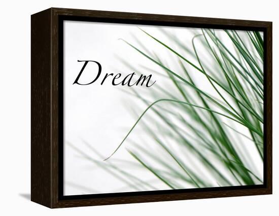 Dream: Reeds-Nicole Katano-Framed Stretched Canvas