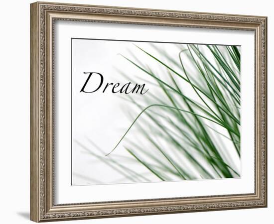 Dream: Reeds-Nicole Katano-Framed Photo