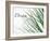 Dream: Reeds-Nicole Katano-Framed Photo